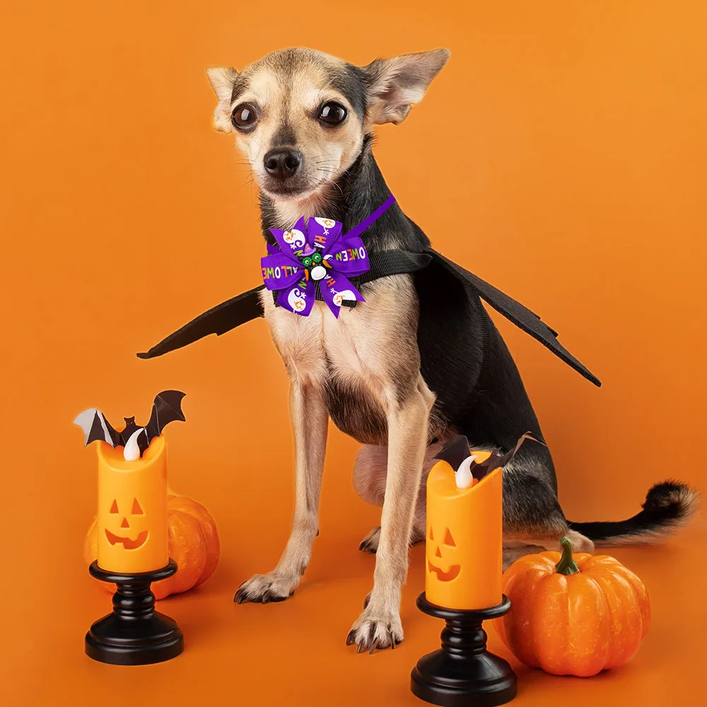 60 Pajaritas Calabaza Halloween para Mascotas - imagen 3