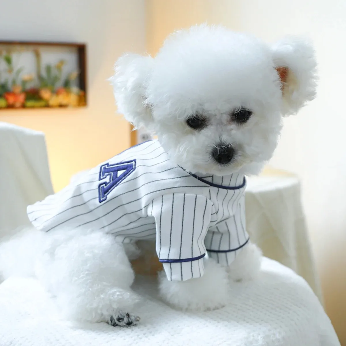 Ropa de verano para cachorros, blusa para perros, ropa para perros, camisas, camisa, suministro de ropa para mascotas de primavera