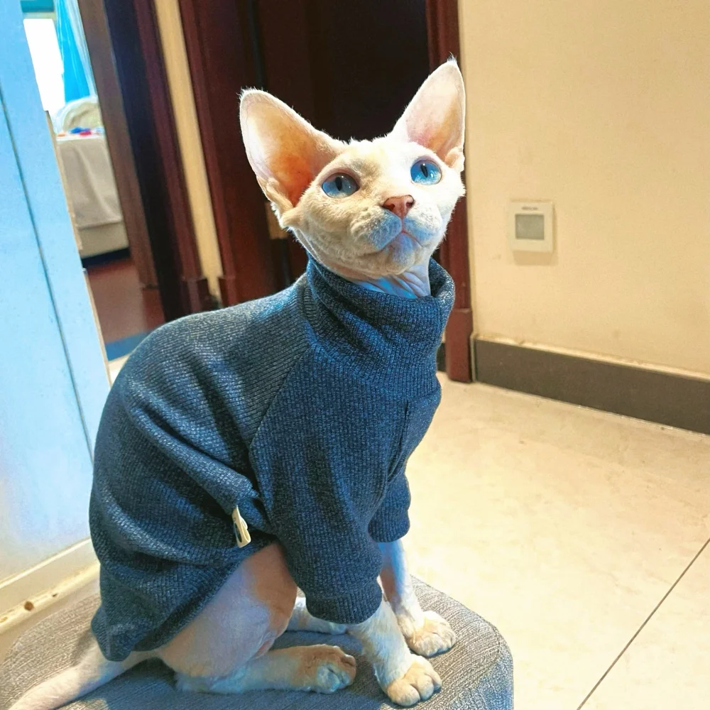 Suéter aislado de cuello alto de punto elástico para gato Sphynx en invierno abrigo gris oscuro suave y cálido para gato sin pelo Devon Rex en otoño - imagen 3
