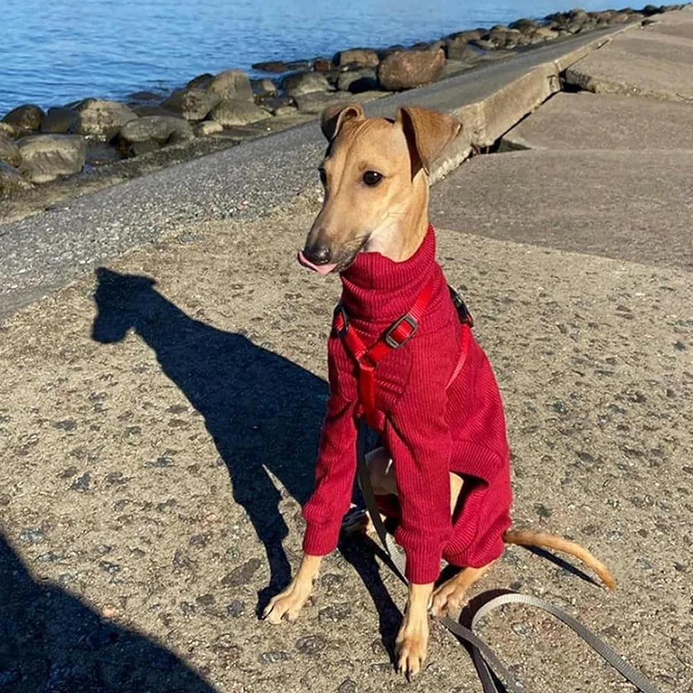 Ropa de galgo italiano Whippet, monos para perros grandes y medianos, pijamas de invierno con cuello alto para mascotas, monos para pastor - imagen 4