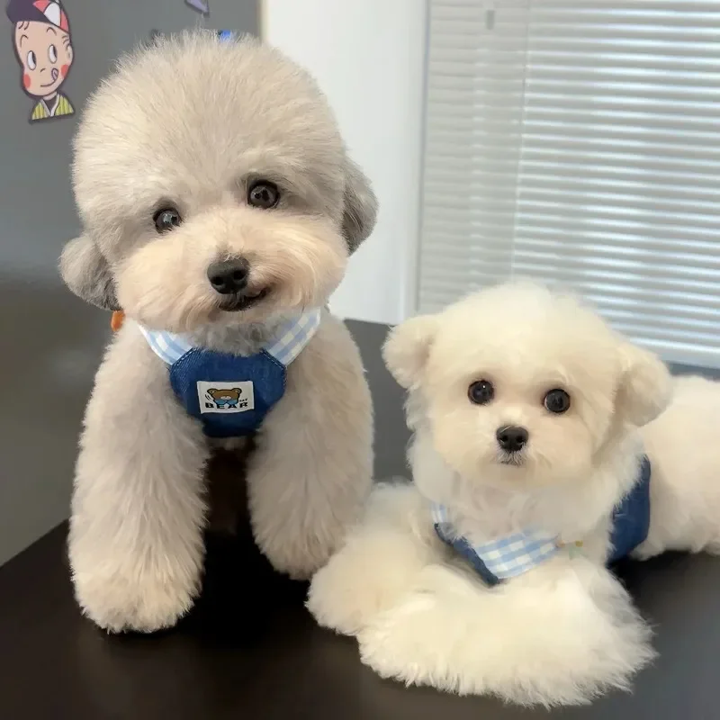 Cute Dog Harness Pet Traction Dog Harness And Leash Set Teddy Vest Striped Dog Walker Can Traction Cowboy Vest Accessories - imagen 3