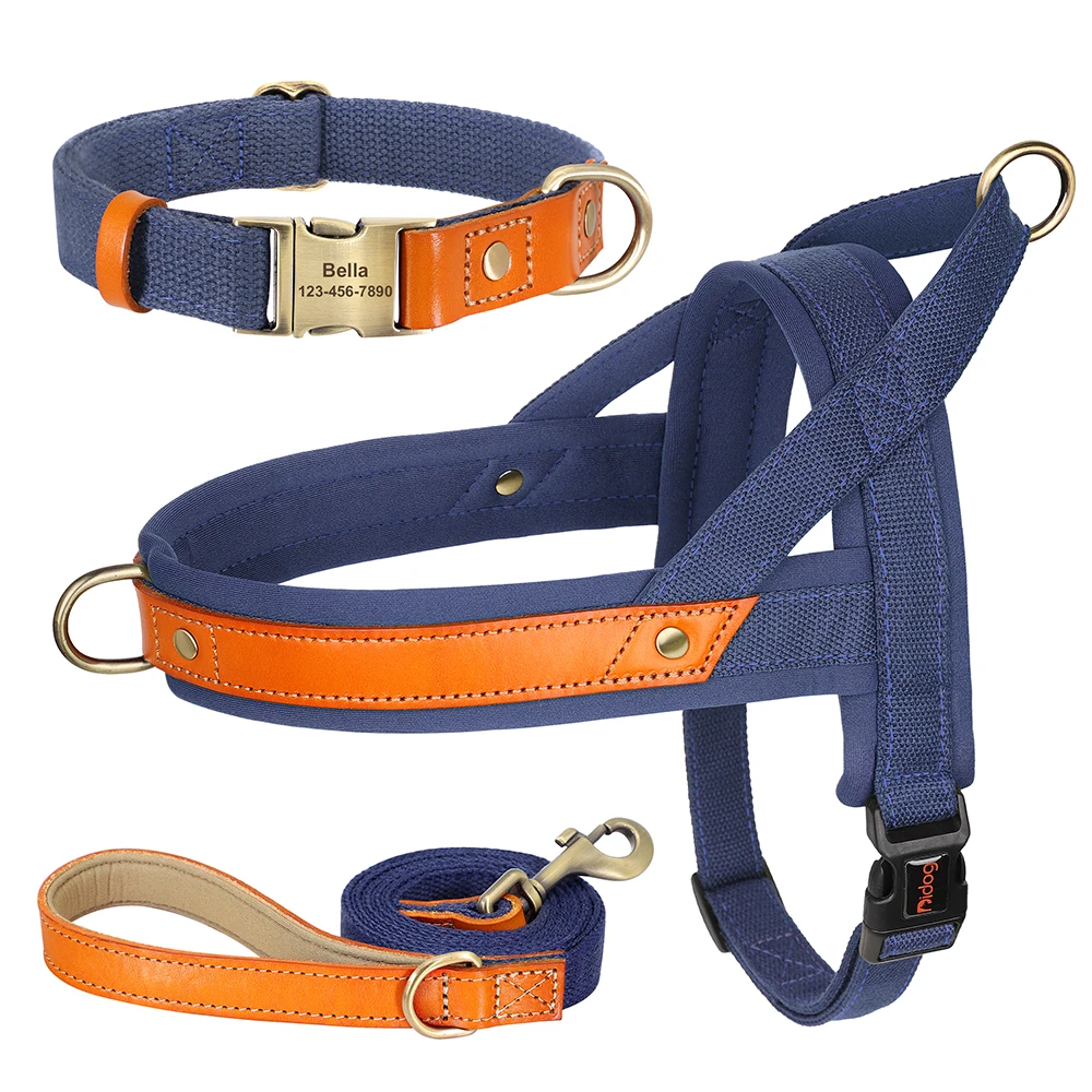 DBlue Collar Harness