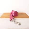 2-Leash