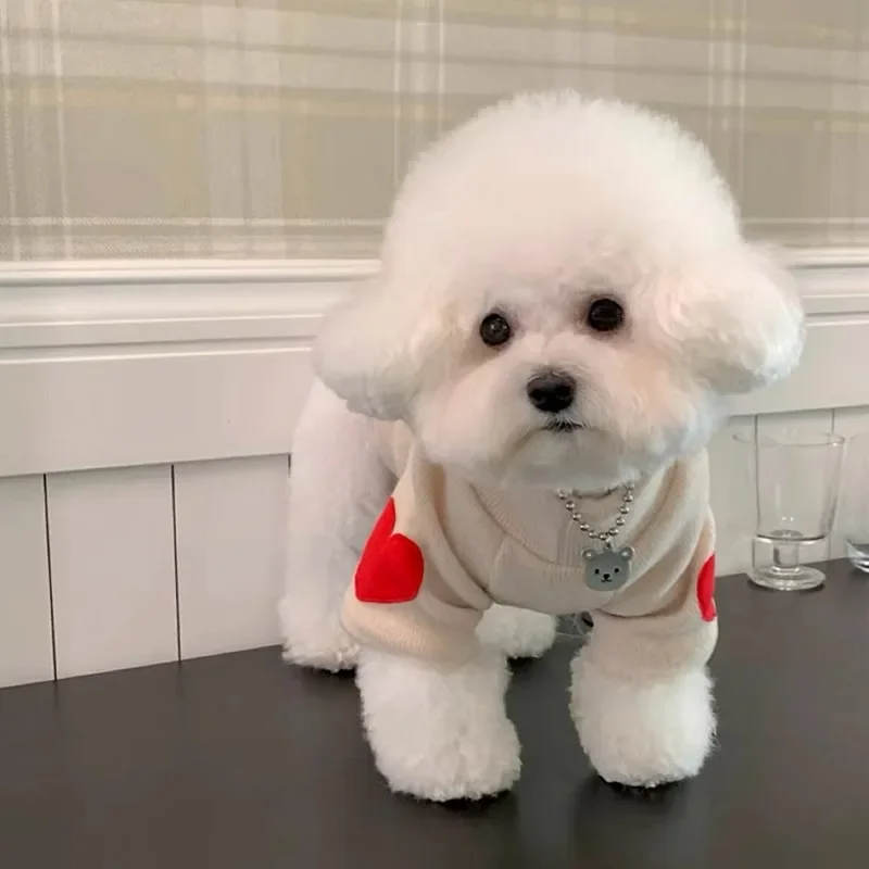 Ropa para perros INS Teddy Bear, camisa inferior con manga de amor, ropa de terciopelo de dos piernas, ropa para gatos de Otoño/Invierno, ropa para mascotas, ropa para cachorros - imagen 2