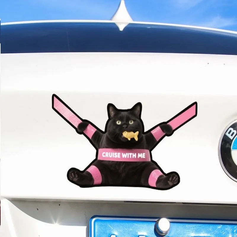 Pegatinas creativas impermeables para gatos – en coches y motos