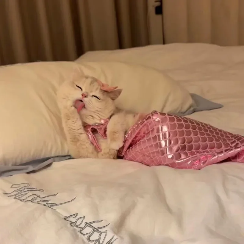 Disfraz de sirena para Gato, vestidos para perros, traje de baño divertido con diseño de cola de pez, Bikini bonito para perros, ropa de verano para mascotas y Halloween - imagen 5