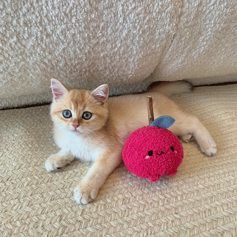 Juguete para la dentición de mascotas pequeñas, masticadores agresivos, entrenamiento, accesorios suaves y bonitos para perros y gatos, descomprimir, suministros de felpa resistentes a mordeduras para mascotas - imagen 5
