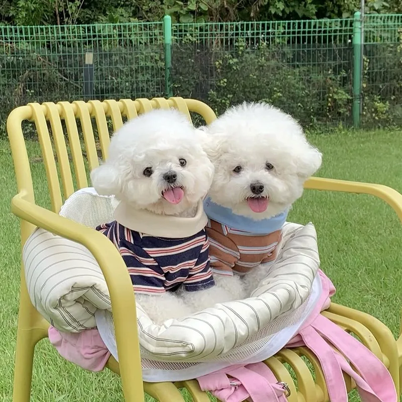 Conjunto verano rayas para perros – Ropa cómoda y fresquita - imagen 5