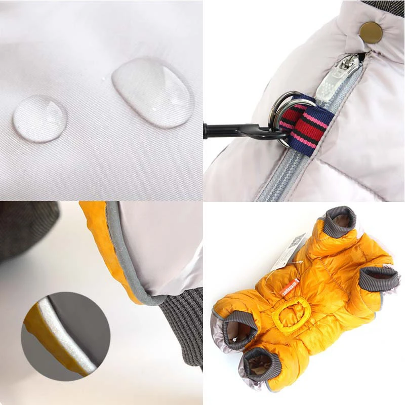 Perro de raza bulldog francés usando la chaqueta de invierno reflectante