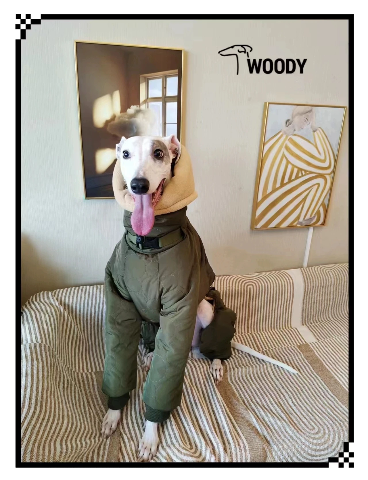 Spuer-ropa gruesa y suave para perros, disfraces de galgo, ropa cálida para perros, abrigo Whippet, chaqueta de galgo italiano - imagen 3