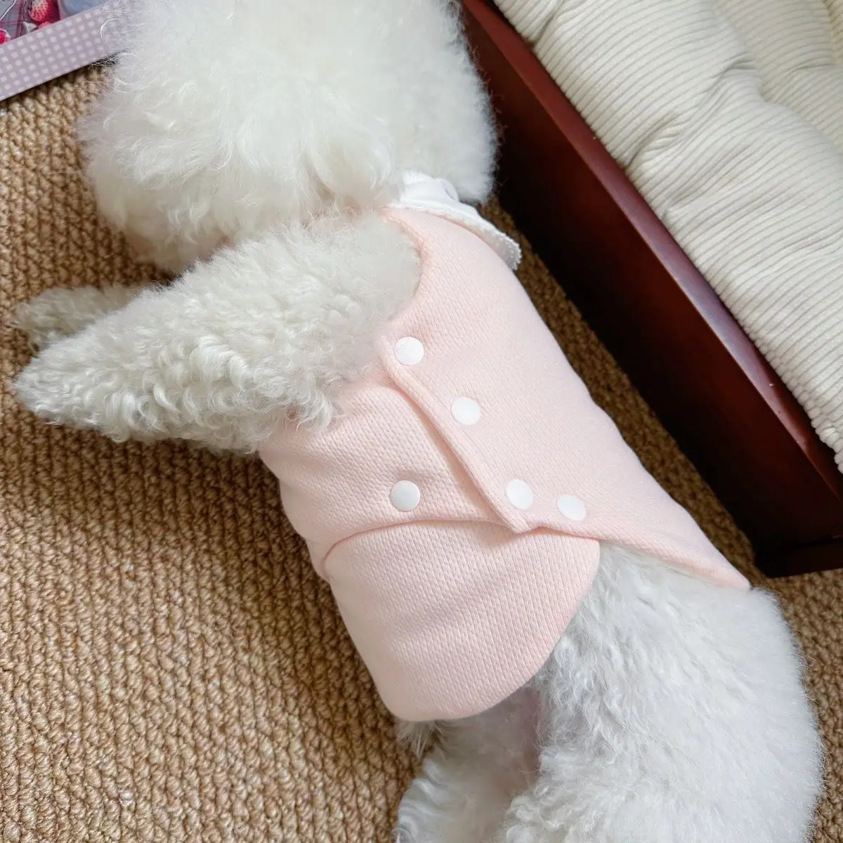 Abrigo suave protector desmontable para el vientre para perros y gatos, chaleco de oso para mascotas, ropa para cachorros, otoño e invierno, otoño e invierno - imagen 3