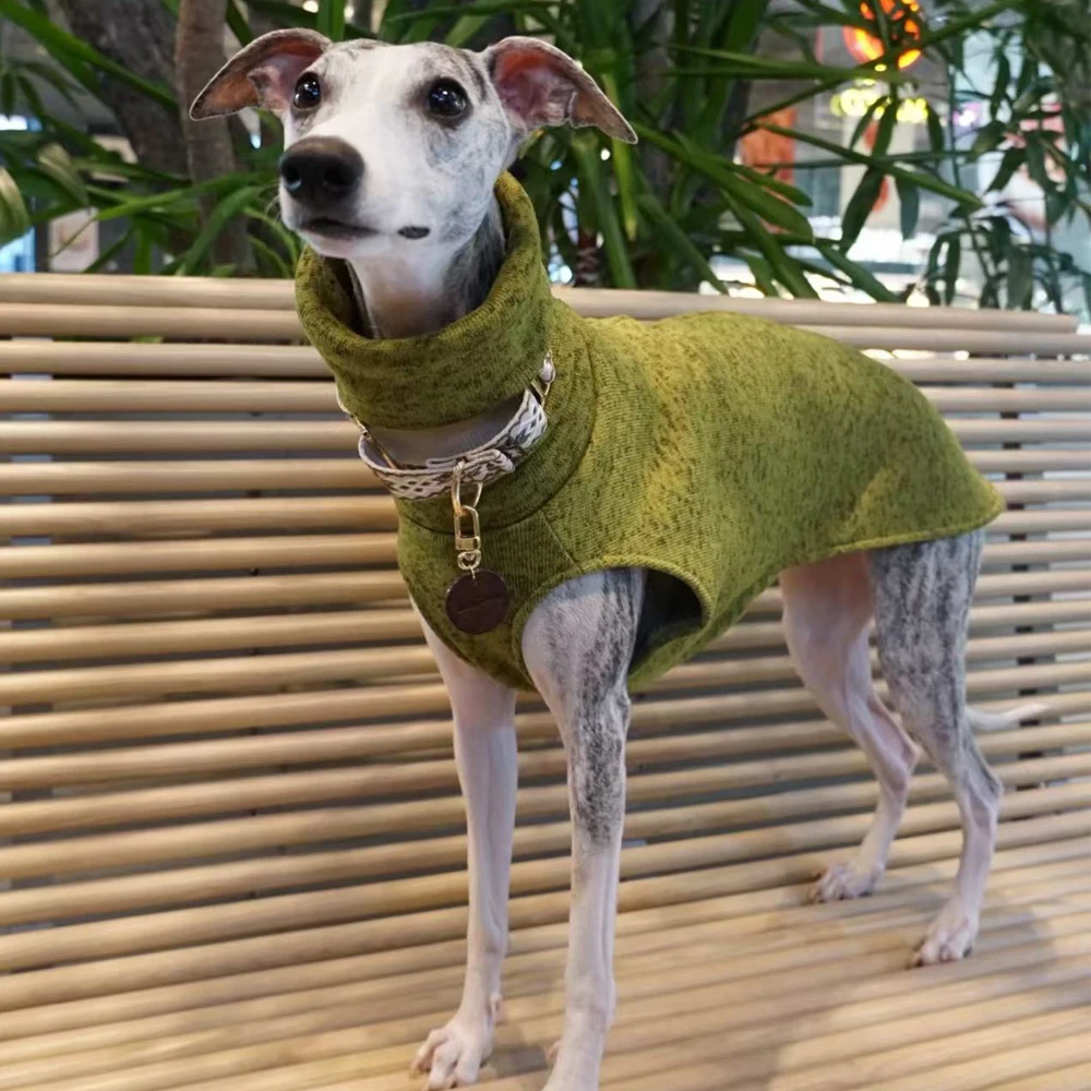 Chaleco verde de cuello alto para perros: Galgo Español, Whippet y Saluki - imagen 2