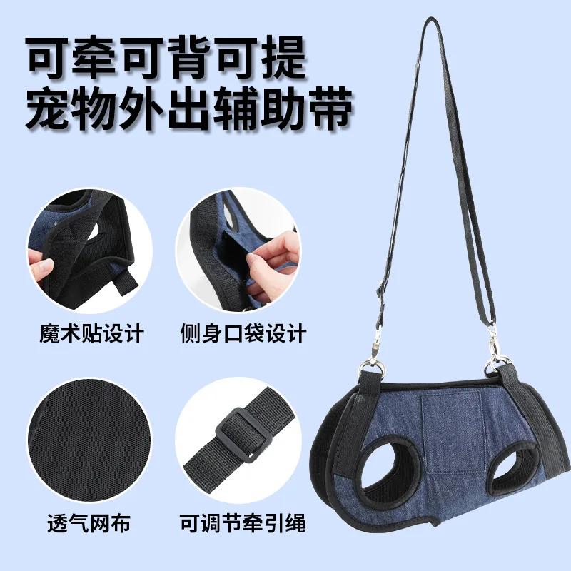 Mochila transportín para pasear gatos y perros mini con correa integrada - imagen 2