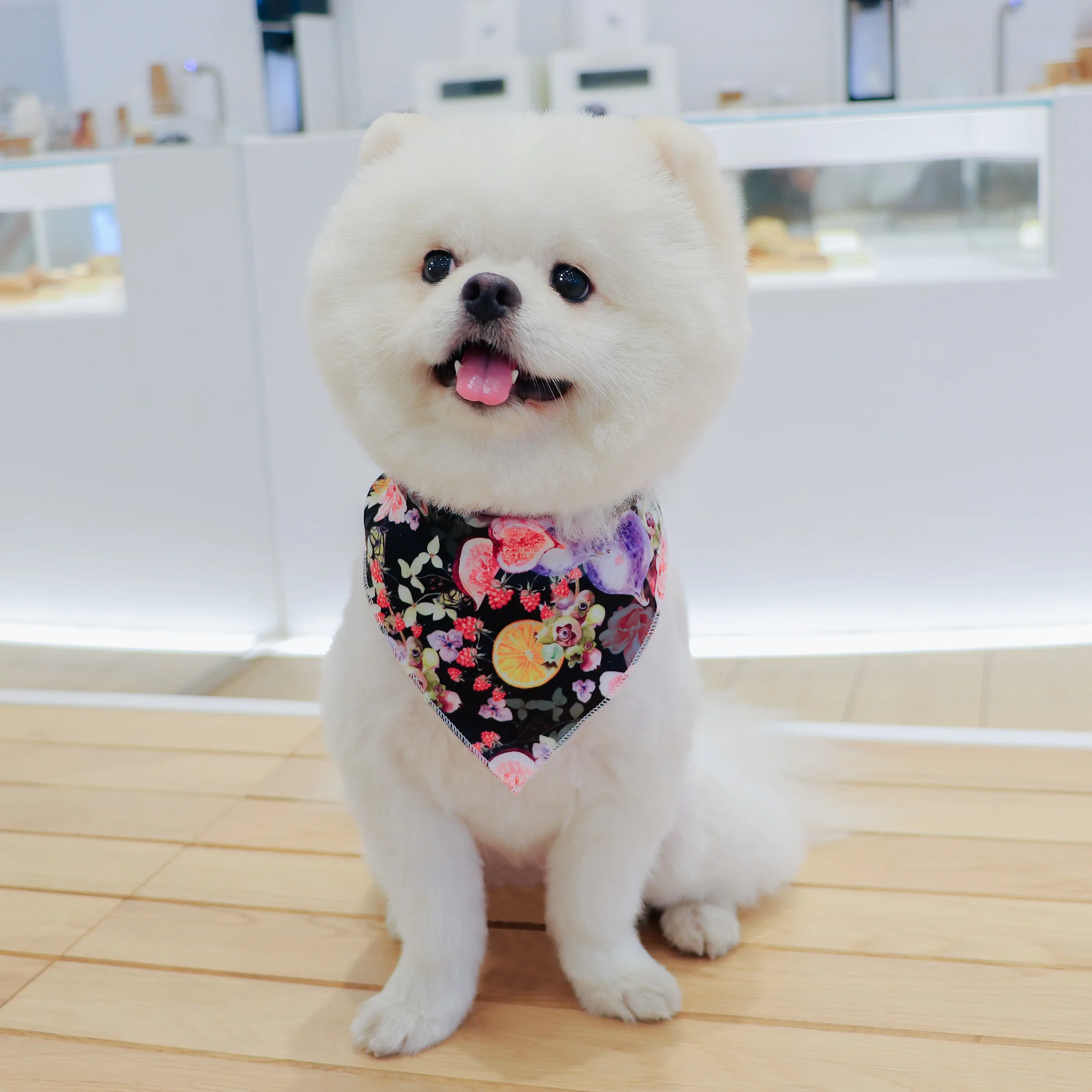 Bandana para perros con estampado floral y de frutas, bufanda triangular reversible para mascotas, ideal para perros pequeños/medianos, patrón de frutas de limón y naranja - imagen 5