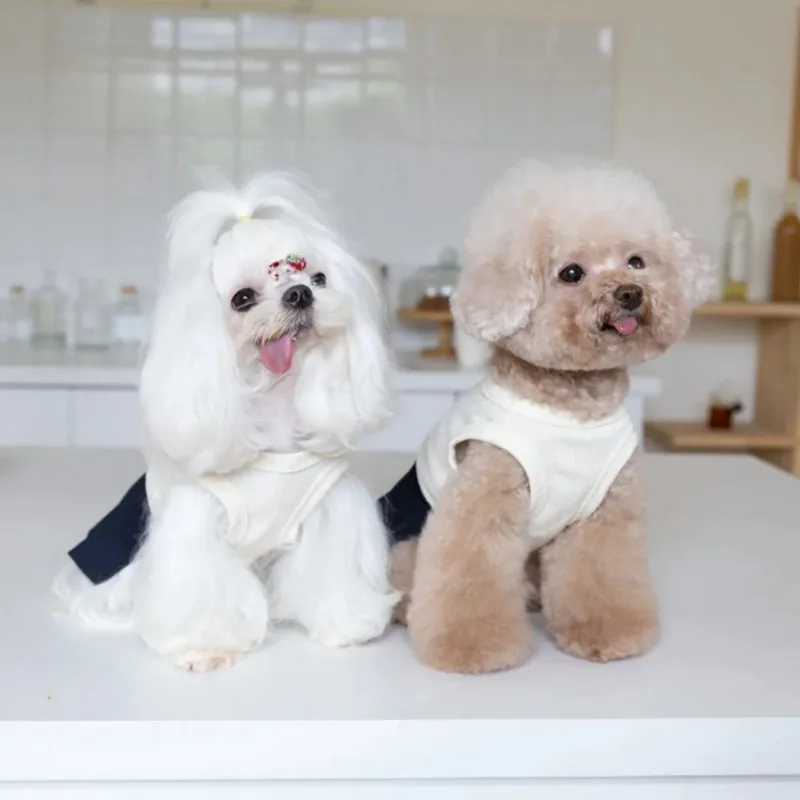 Ropa de moda para perros, uniforme escolar, Falda plisada, chaleco, falda, ropa de peluche de moda para perros pequeños, vestidos para perros, ropa para cachorros - imagen 4