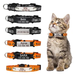 Collar identificativo para gato – Etiqueta grabada y resistente
