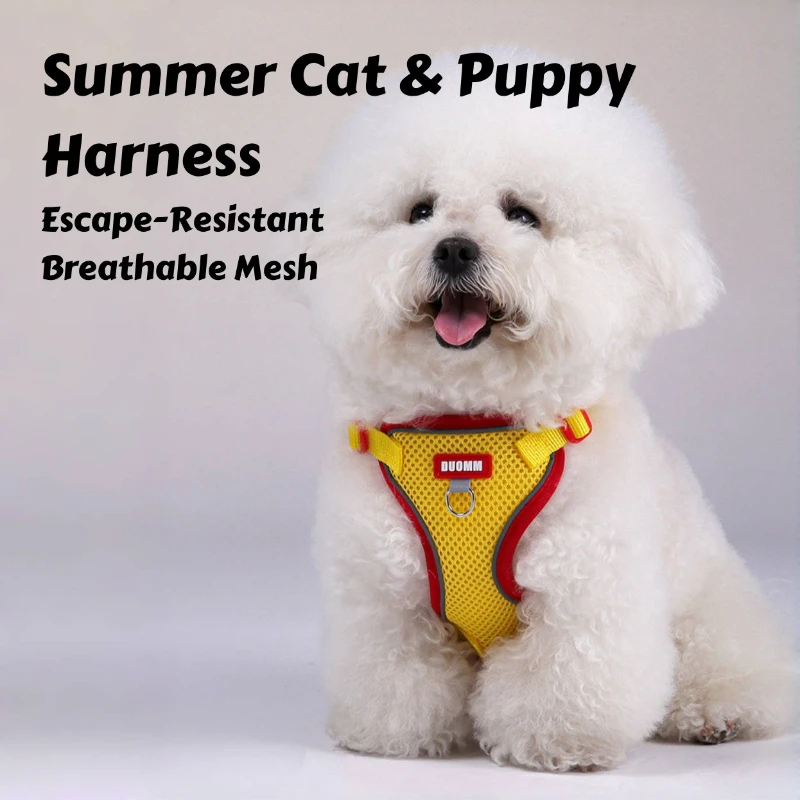 Arnés de verano para gatos y perros pequeños: chaleco resistente a la fuga con malla transpirable y correas de dos tonos para aventuras al aire libre