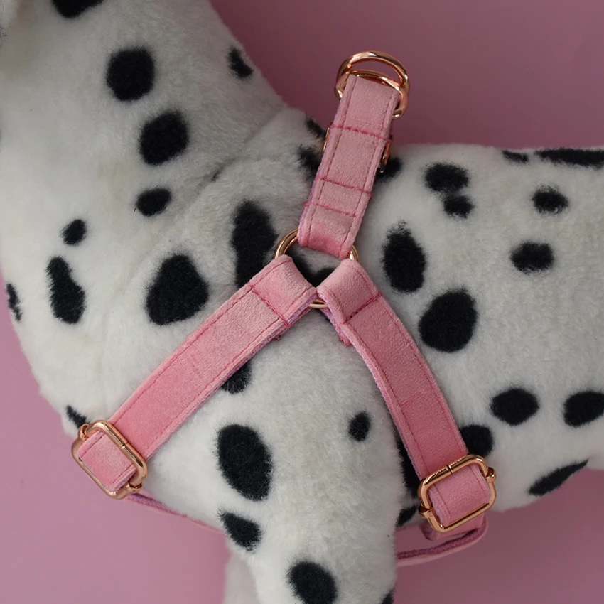 Collar de perro personalizado con etiqueta de identificación de cachorro grabada, correa de perro para Schnauzer Mountain, Akitas, Boston Terrier, franela 01 - imagen 2