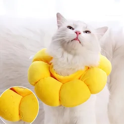 Collar isabelino suave para gatos y perros en recuperación