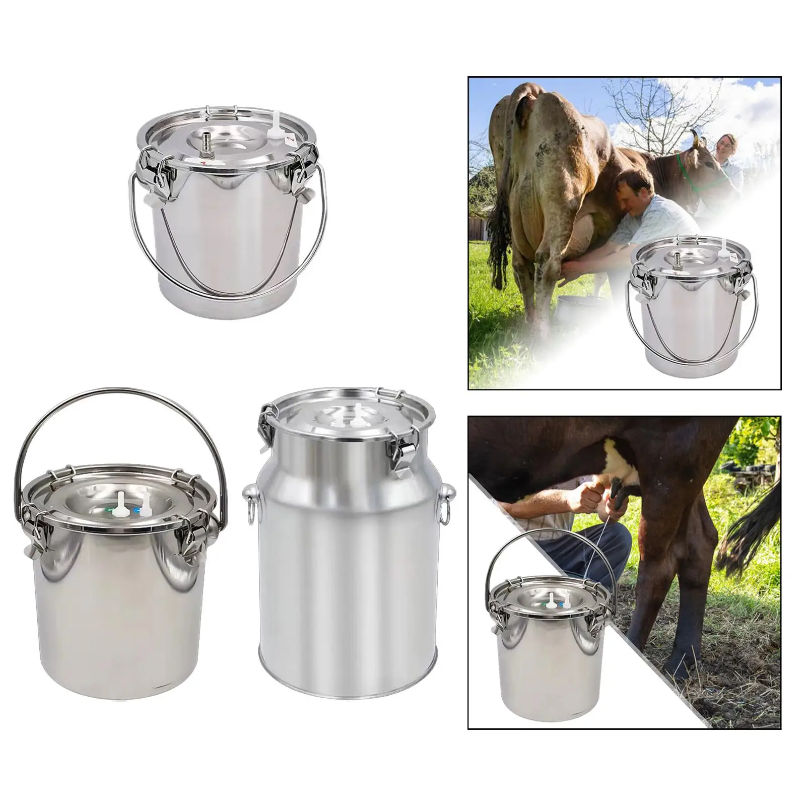 Milking Machine Bucket Multipurpose Easy Carrying Sturdy Stainless Steel Milk Bucket for Livestock Farm Sheep Milking Device Milking Machine Bucket Multipurpose Easy Carrying Sturdy Stainless Steel Milk Bucket for Livestock Farm Sheep Milking Device