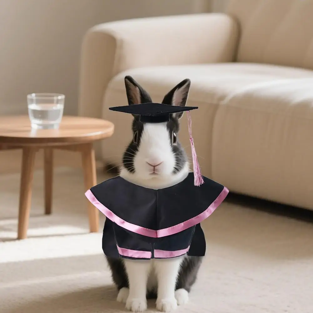 Conjunto de disfraz de graduación para mascotas pequeñas, gorro y bata de graduación de conejo, traje de graduación para mascotas con borla para accesorios de gatos y conejitos - imagen 5