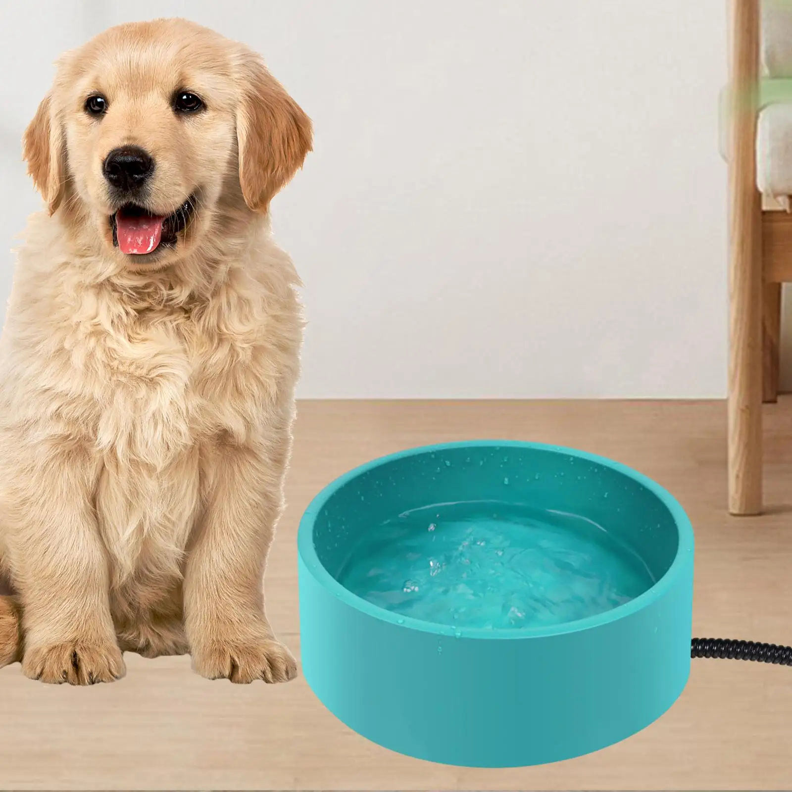 Heated Water Bowl for Pet No More Frozen Food or Water 3.2L Capacity Dog Drinking Bowl for Bunny Dogs Cat Bird Squirrels