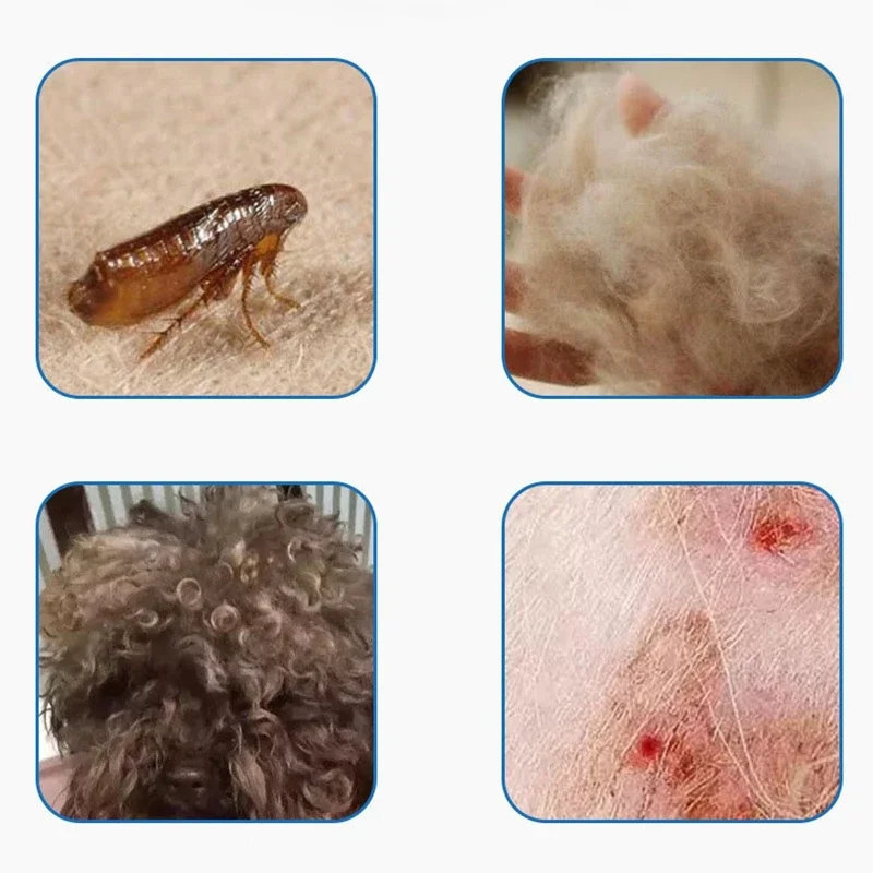 Peine antipolices para perros y gatos, aguja larga y corta de acero inoxidable para mascotas, para desparabrir huevos, nudos, suministros para el cuidado de mascotas - imagen 2