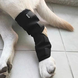 Soporte de rodilla para perros y gatos – Recuperación articular
