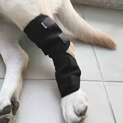 Soporte de rodilla para perros y gatos – Recuperación articular