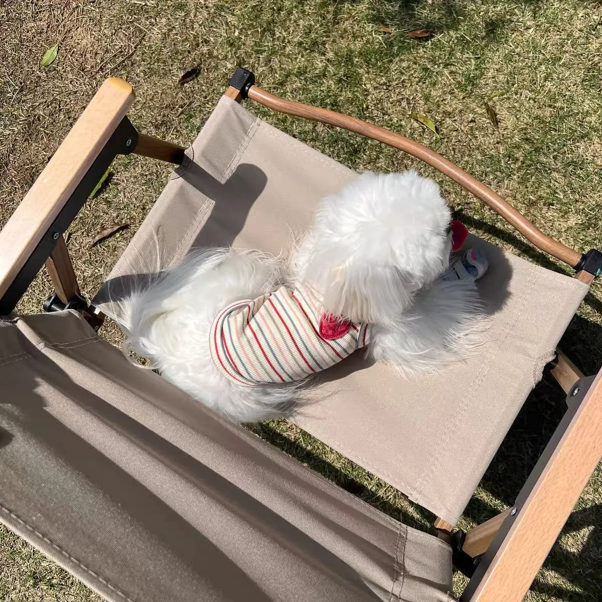 Camisola a rayas de primavera para mascotas, chaleco, ropa fina para perros pequeños, Schnauzer de peluche, Top para perros pequeños, ropa para cachorros - imagen 4