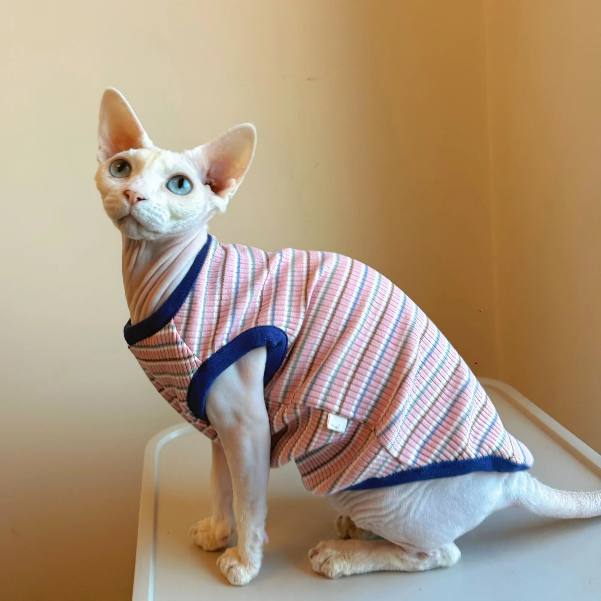 Camiseta para gatos Sphynx y Devon Rex de algodón a rayas sin pelo - imagen 2