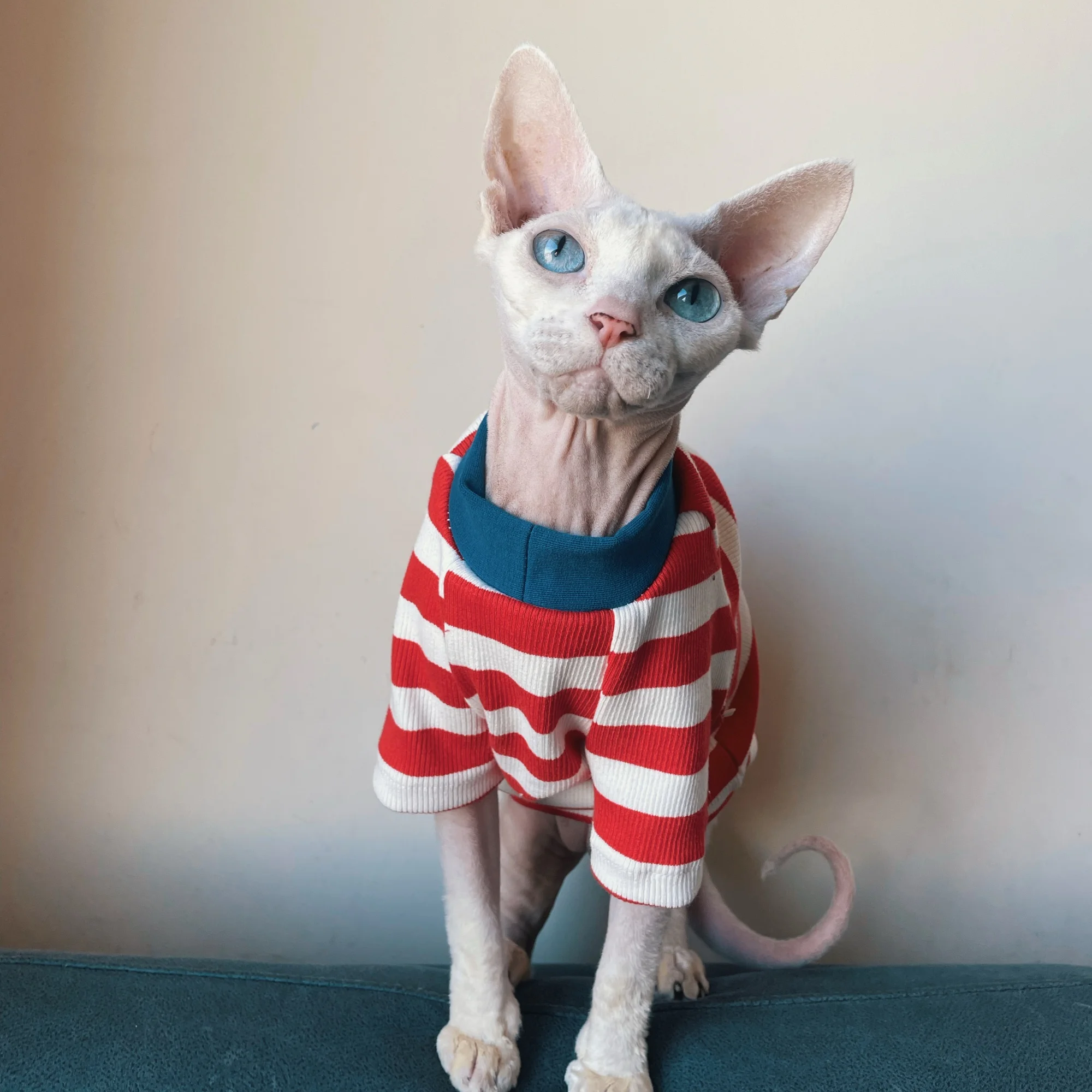Camiseta de algodón a rayas de otoño para gato sin pelo, abrigo rojo suave y cálido de manga larga para pijamas de primavera Sphynx Cat para Devon Rex