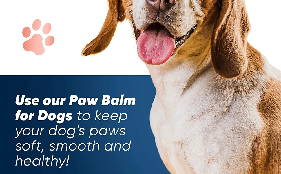 cat paw balm