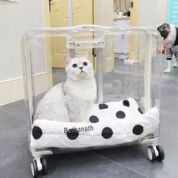 Maleta transparente con ruedas para gatos y perros pequeños