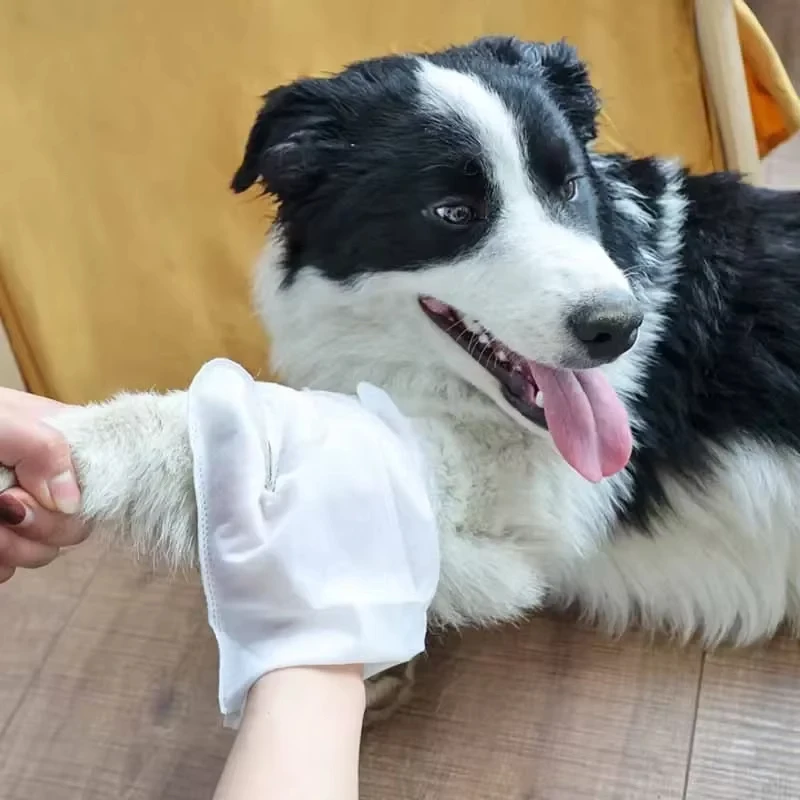6PCS Cat Dog Disposable Glove Towels Pet Wash Free Glove No Rinse Washing Gloves Towels Deodorizing Dry Cleaning Wet Towels - imagen 2