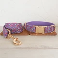 Dog Collar Leash Set