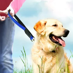 Correa reflectante con cinturón de seguridad para perros grandes