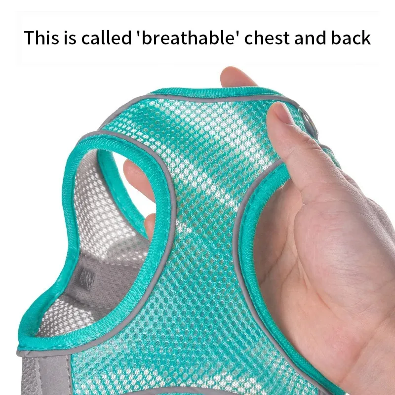 Conjunto de correa de arnés para perros pequeños, arnés ajustable para cachorros y gatos, chaleco, Bulldog Francés, Chihuahua, Pug, correa para caminar al aire libre - imagen 3