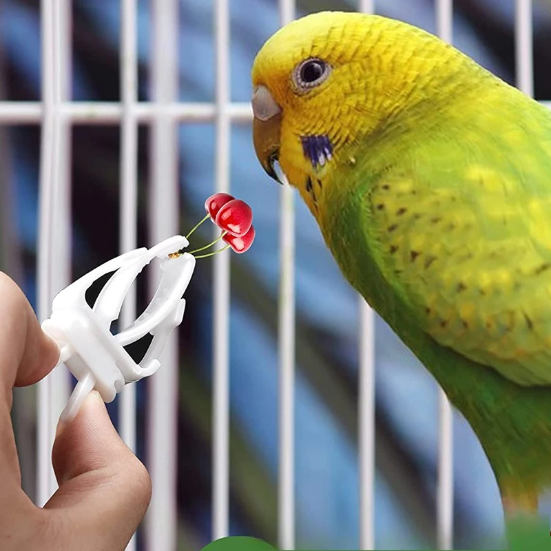 Soporte para comida de pájaros y mascotas, Clip para loros, frutas y verduras, dispositivo alimentador de huesos de sepia, abrazadera, accesorios para jaulas de pájaros, 3 uds. - imagen 4