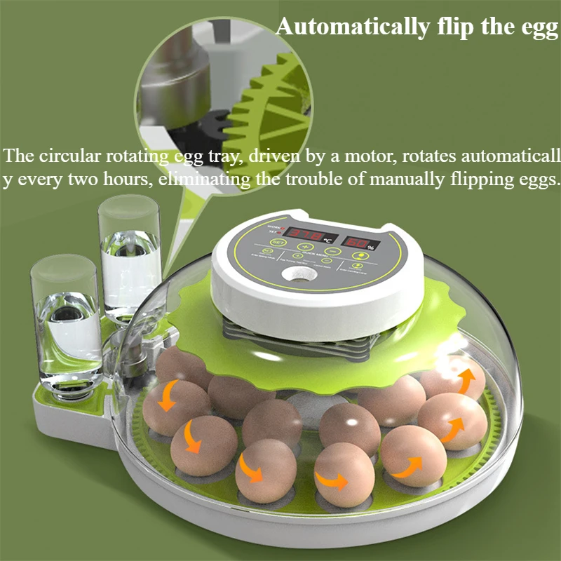 Incubadora inteligente totalmente automática para el hogar, pequeño paloma, loro, pájaro, huevo, platillo especial, caja incubadora de temperatura constante - imagen 3