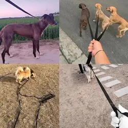Correa de nailon para perros, 10, 15 y 20 m, entrenamiento y paseo
