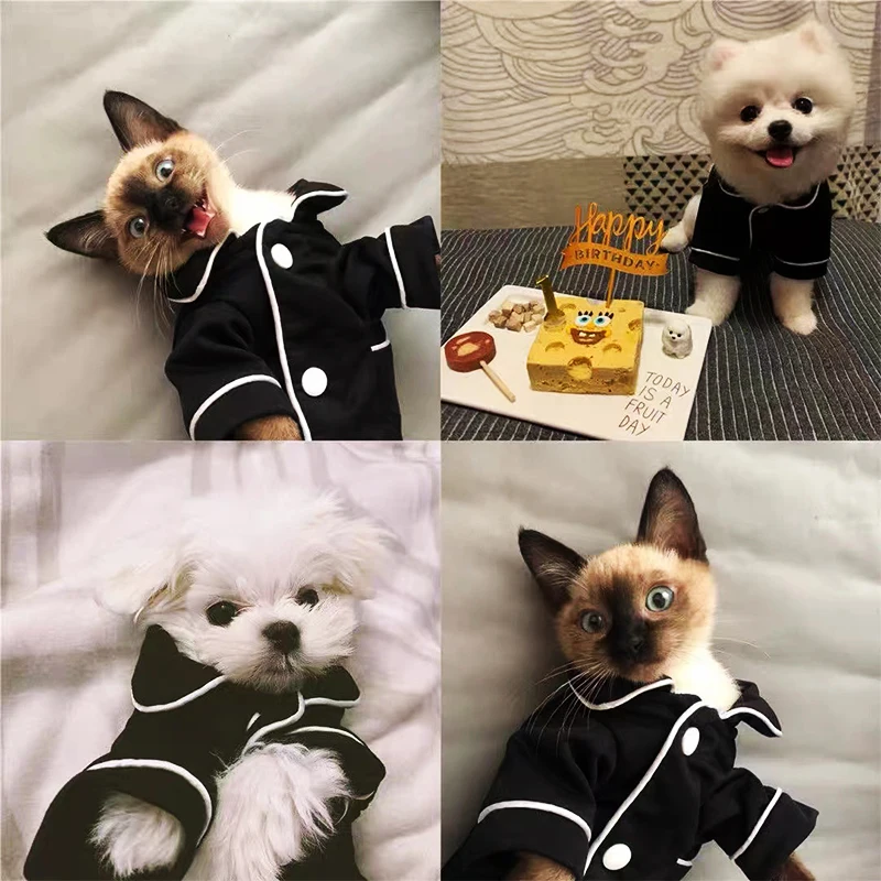 Ropa para Perros - Camisetas de Verano para Chihuahua y Bichón - imagen 4