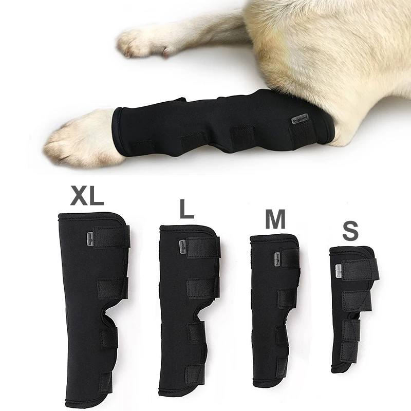 NONOR-vendajes para perros, calentadores de piernas para perros, lesiones de piernas para mascotas, correa de recuperación de fijación de articulaciones antilamer, Teddy Golden Hair, Brace para piernas, puño para pies - imagen 2