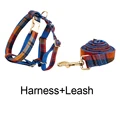 Harness   leash