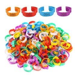 Anillos ajustables para patas de aves de corral - diámetro interior