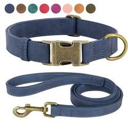 Collar acolchonado para Bulldog – resistente, cómodo y ajustable