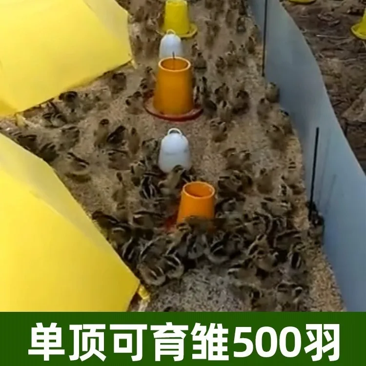 Sombrilla térmica automática para proteger a pollos del calor y sol - imagen 4