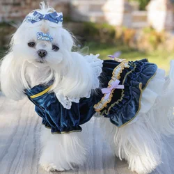 Vestido de encaje azul para perros – Fiesta, noche y cumpleaños