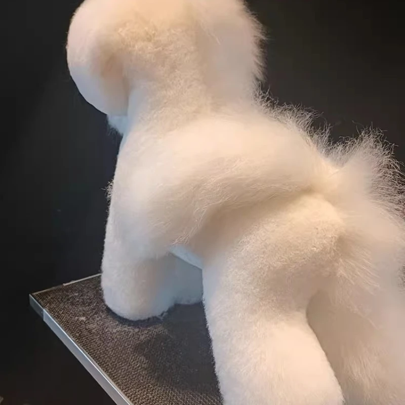 Maniquí de peluquería canina con pelo sintético para Bichón pequeño - imagen 4