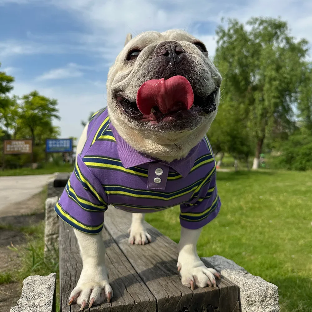 Nueva camisa de algodón puro INS para mascotas, camiseta a rayas, camisa para perros, ropa para perros, ropa para Bulldog Francés Yorkshire Terrier - imagen 5